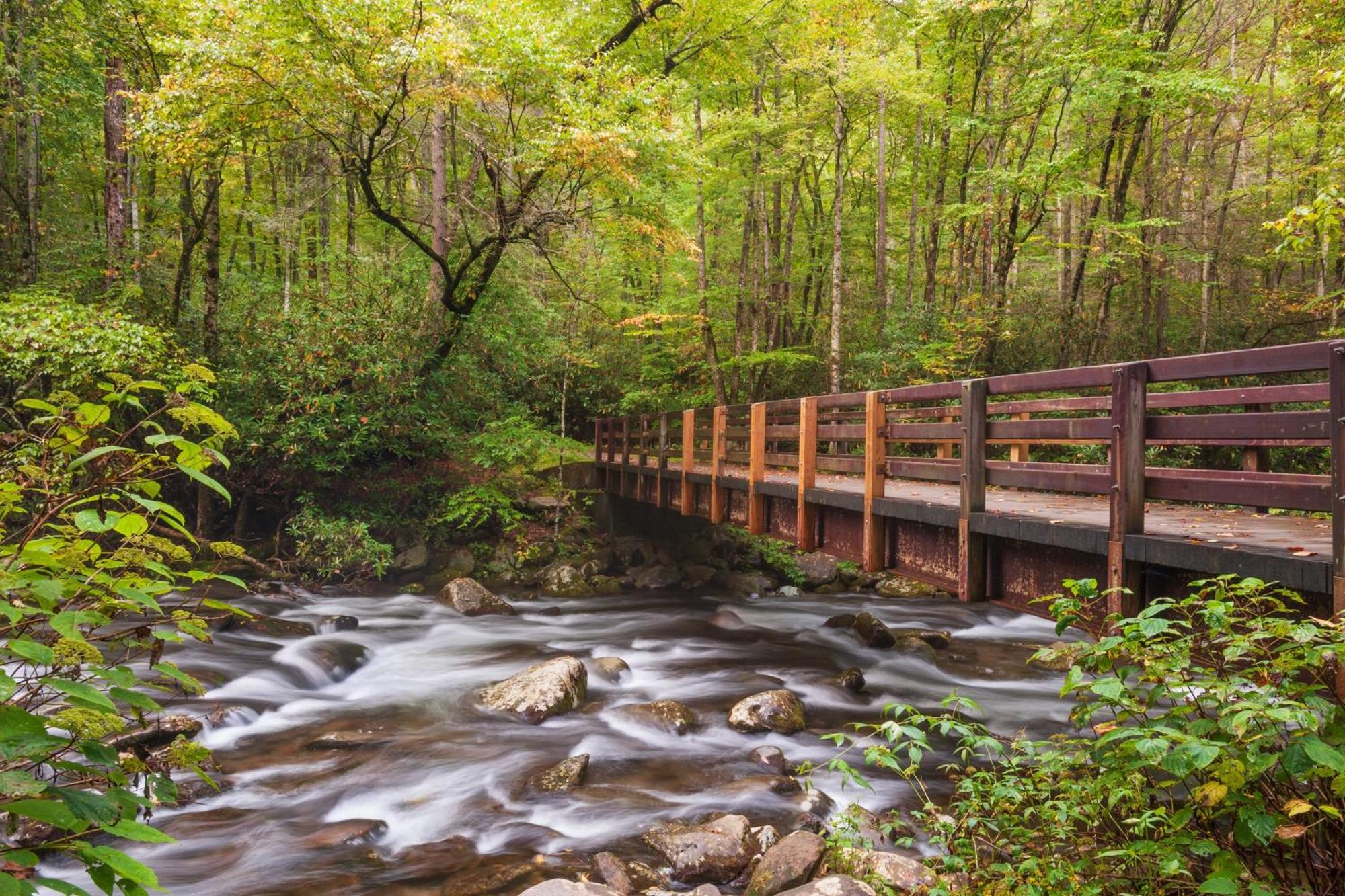 Tranquility Hollow, Indoor Pool, Game Room, 1089 Free Tickets Each Paid Day, Dollywood And More! Sevierville Exterior foto